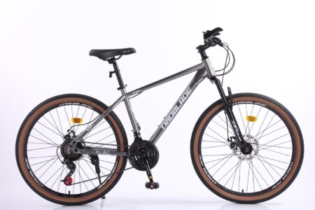 Xe đạp địa hình bản nâng cấp TRIOBLADE TS900