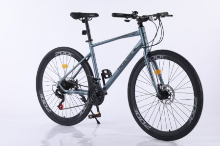 Xe đạp thể thao TRIOBLADE YN 600