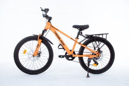 Xe đạp trẻ em TRIOBLADE YN 818